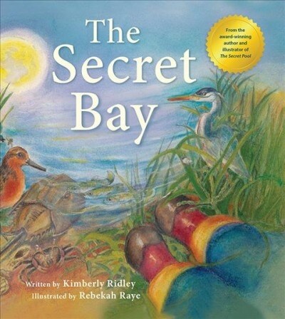 The Secret Bay (Paperback)
