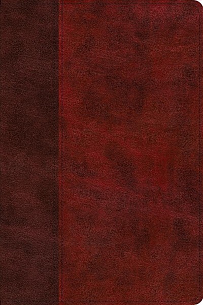 ESV Gospel Transformation Study Bible: Christ in All of Scripture, Grace for All of Life (Trutone, Burgundy/Red, Timeless Design): Christ in All of Sc (Imitation Leather)