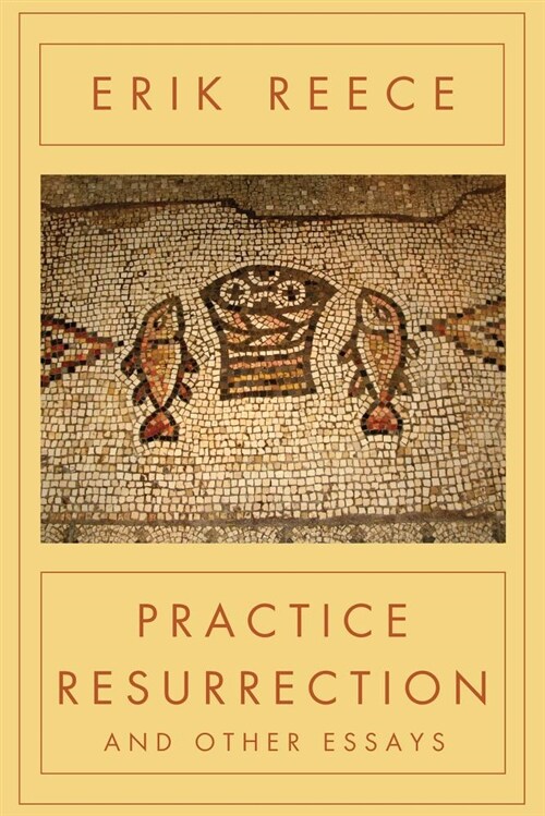 Practice Resurrection: And Other Essays (Paperback)