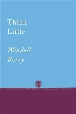 Think Little: Essays (Paperback)