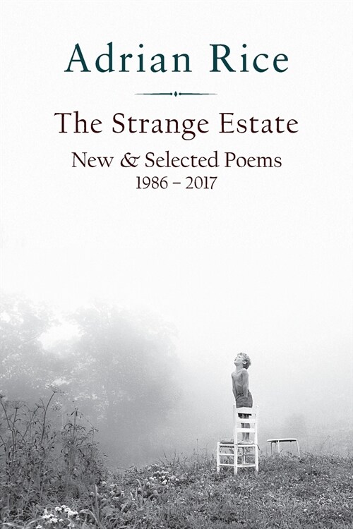 The Strange Estate: New & Selected Poems 1986 - 2017 (Paperback)