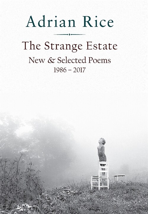 The Strange Estate: New & Selected Poems 1986 - 2017 (Hardcover)