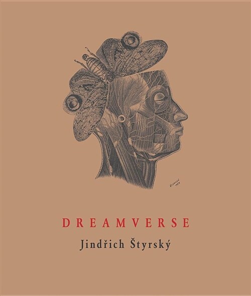 Dreamverse (Paperback)