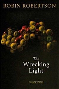 The Wrecking Light (Paperback)