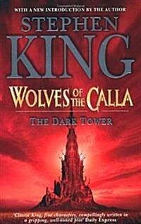 Dark Tower (Paperback)