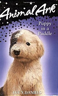 Puppy in a Puddle (Paperback)