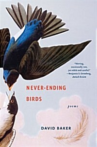 Never-Ending Birds: Poems (Paperback)
