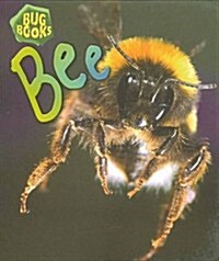 Bee (Paperback)