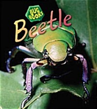 Beetle (Paperback)