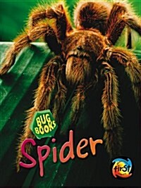 Spider (Paperback)