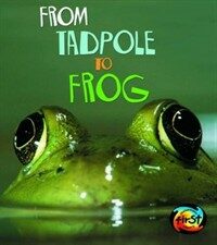 From tadpole to frog 표지이미지