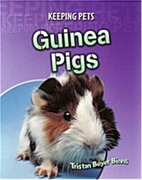 Guinea Pigs (Paperback)