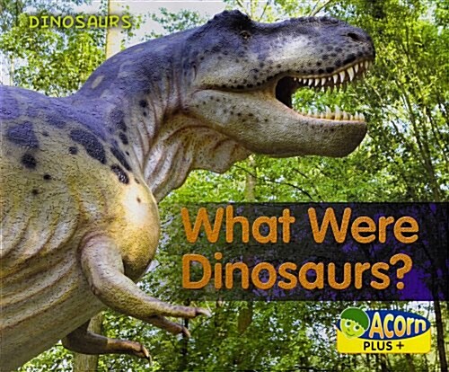 What Were Dinosaurs? (Hardcover)