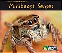 Minibeast Senses (Paperback)