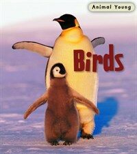 Birds 표지이미지