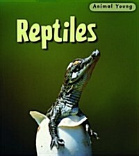 Reptiles (Hardcover, Revised, Updated)