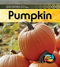 Life Cycle of a Pumpkin (Hardcover)