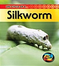 Life Cycle of a Silkworm (Hardcover)