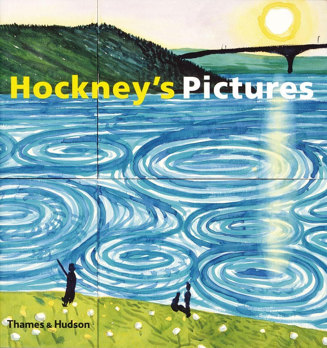 Hockneys Pictures (Paperback, 368)