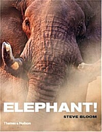 Elephant! (Hardcover)