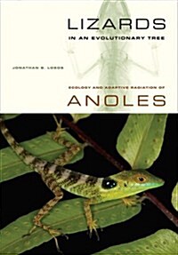 Lizards in an Evolutionary Tree: Ecology and Adaptive Radiation of Anoles Volume 10 (Paperback)