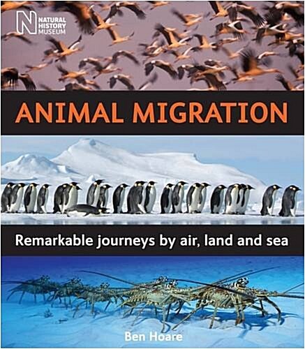 Animal Migration : Remarkable Journeys by Air, Land and Sea (Hardcover)