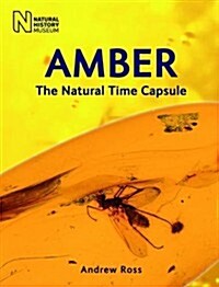 Amber : The Natural Time Capsule (Paperback, Revised ed)