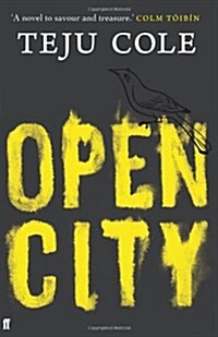 Open City (Paperback)