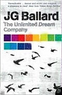 The Unlimited Dream Company (Paperback)