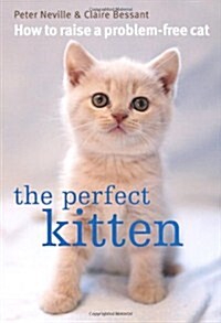 Perfect Kitten (Paperback)