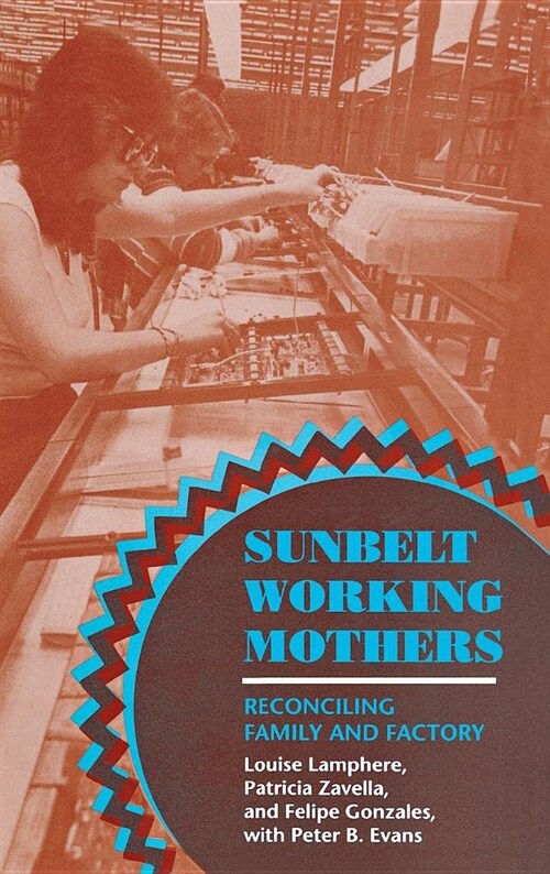 Sunbelt Working Mothers (Hardcover)