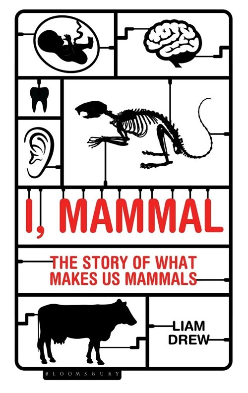 I, Mammal : The Story of What Makes Us Mammals (Paperback)