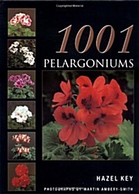 1001 Pelargoniums (Hardcover)