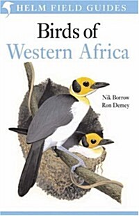 Field Guide to the Birds of Western Africa (Paperback)