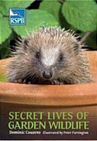 Secret Lives of Garden Wildlife (Paperback)