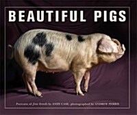 Beautiful Pigs (Paperback)