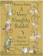 Very Naughty Rabbit (Hardcover)