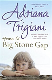 Home to Big Stone Gap. Adriana Trigiani (Paperback, Revised)