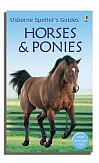 [중고] Horses and Ponies (Paperback)