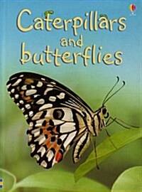 [중고] Caterpillars and Butterflies (Hardcover)