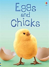 Eggs and Chicks (Hardcover)