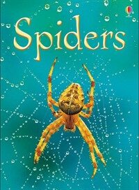 Spiders (Hardcover)