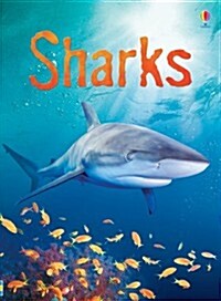 Sharks (Hardcover)