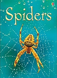 Spiders (Hardcover)