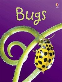 Bugs (Hardcover)