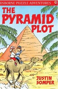 (The) pyramid plot 