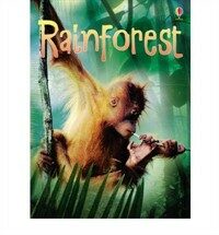 Rainforests (Hardcover)