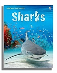 Discovery Sharks (Hardcover)