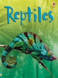 Reptiles (Hardcover)