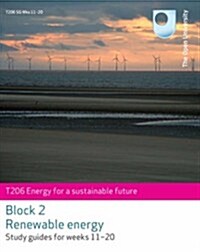 Renewable Energy (Paperback)